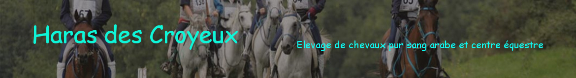 Haras des Croyeux